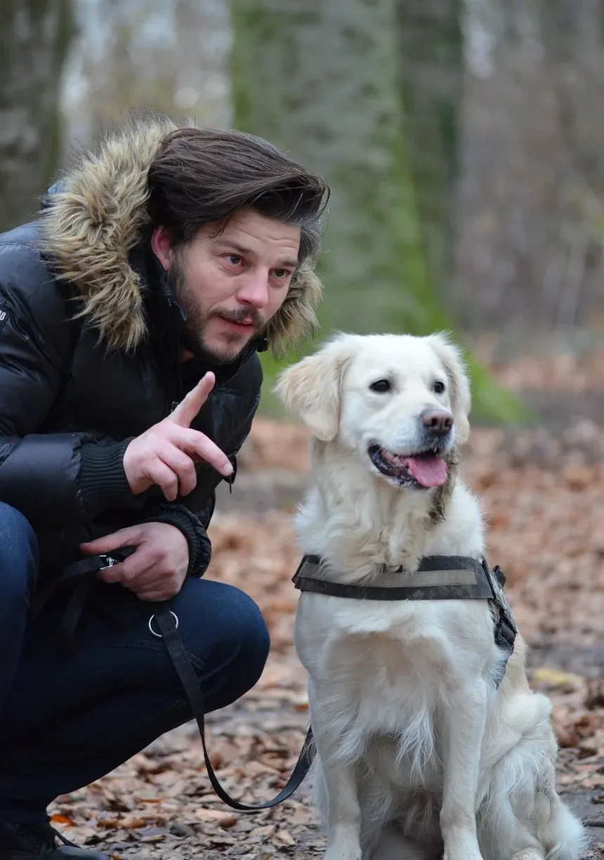 Melhor Ração para Cães com Orelhas Coçando: Um Guia Completo